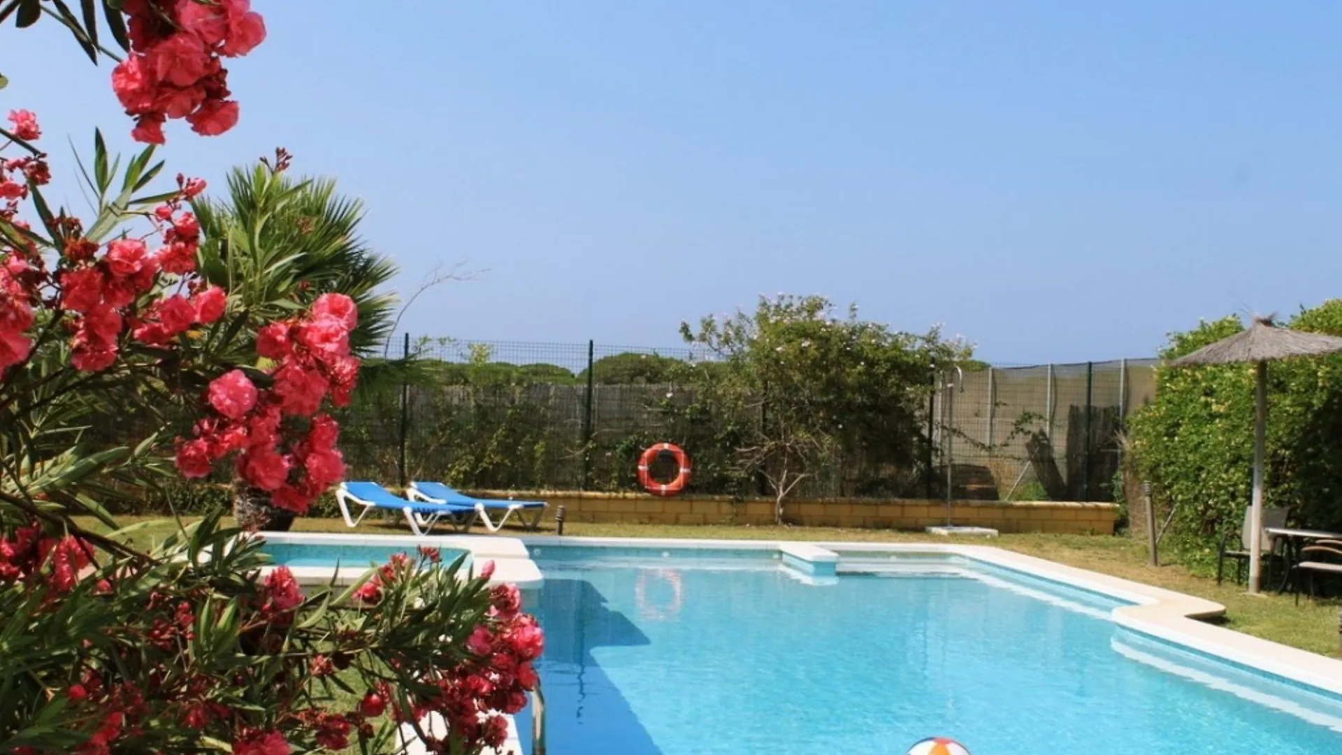 104959 - House In Conil De La Frontera Apartment